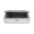 Scanner Epson Expression 12000XL, 2400 x 4800 DPI, Escáner Color, USB 2.0, Blanco  1