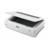 Scanner Epson Expression 13000XL, 2400 x 4800 DPI, Escáner Color, USB 2.0  3