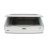 Scanner Epson Expression 13000XL, 2400 x 4800 DPI, Escáner Color, USB 2.0  2