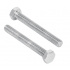 Fiero Tornillo 5/16" x 1-1/4", 60 Piezas, Acero Galvanizado  1