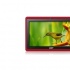 Tablet Ghia ANY Quattro+ 7'', 8GB, 800 x 480 Pixeles, Android 4.4, WLAN, Rojo  1