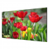 Hikvision DS-VW3X20B55/WM Videowall LCD, Full HD