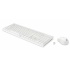 Kit de Teclado y Mouse HP C2710, RF Inalámbrico, Blanco  2