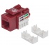 Intellinet Jack Categoría 5e, RJ-45, Rojo  1