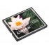 Memoria Flash Kingston, 4GB CompactFlash Card  2