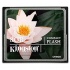 Memoria Flash Kingston, 8GB CompactFlash Card - Imagen adicional 2