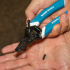 Klein Tools Pinzas para Cortar y Pelar Cables K11095, Azul  4