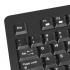 Kit de Teclado y Mouse Klip Xtreme KCK-265E, Inalámbrico, USB, Negro (Inglés) - Imagen adicional 3