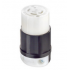 Leviton Terminal para Cable 02733-000, 2 Polos, 14 - 8 AWG, Nylon, 1 Pieza