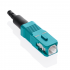 Leviton Conector SC 49991-LSC, 1 Pieza