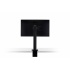 Monitor LG 27QN880-B Ergo LED 27", Quad HD, FreeSync, 75Hz, HDMI, Bocinas Integradas 2 x 5W, Negro  9