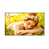 LG 50UL5Q Pantalla Comercial LED 50", 4K Ultra HD, Negro