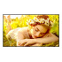 LG 50UL5Q Pantalla Comercial LED 50", 4K Ultra HD, Negro - Imagen adicional 1