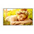 LG 75UL5Q Pantalla Comercial LED 75", 4K Ultra HD, Negro