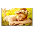 LG 86UL5Q-E Pantalla Comercial LED 86", 4K Ultra HD, Negro - Imagen adicional 1