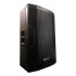 Lim Audio Bafle Profesional Amplificado Stallion-15P, Bluetooth, Inalámbrico, 500W RMS, 1.000W PMPO, XLR, Negro  1