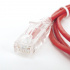 LinkedPRO Cable Patch Cat6 UTP RJ-45 Macho - RJ-45 Macho, 1.5 Metros, Rojo  2