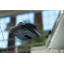 Mouse Logitech Anywhere MX Láser, Inalámbrico, Negro - Imagen adicional 4