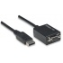Manhattan Cable DisplayPort - HD15 FM, 15cm, Negro - Imagen adicional 3