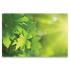 Manhattan Skin de Polipropileno 17'', Naturaleza