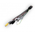 Meriva Technology Cable AV Macho - DIN 6 Pin Macho