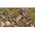 Age of Empires II Definitive Edition, Windows ― Producto Digital Descargable  10