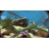 Subnautica, Xbox One ― Producto Digital Descargable  4