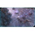 Halo: Spartan Assault, Xbox 360 - Imagen adicional 4