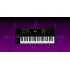 Native Instruments Teclado MIDI Komplete Kontrol S49 MK2, 49 Teclas, USB, Negro  5