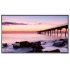 NEC AccuSync E505 Pantalla Comercial LED 50", Full HD, Negro  1