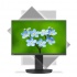 Monitor Nec MultiSync EA231WU LED 22.5", WUXGA, HDMI, Negro  7