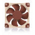 Ventilador Noctua NF-A8 PWM, 80mm, 2200RPM, Beige/Café   3