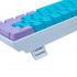 Teclado Gamer Ocelot Gaming Candy Blue 60 RGB, Teclado Mecánico, Switch Blue, Alámbrico, Azul/Morado (Inglés)  6