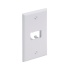 Panduit Placa Frontal Vertical con 1 Salida para 2 Módulos Mini-Com, Blanco  1