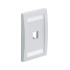 Panduit Placa de Pared Vertical CFPE1IGY, 1 Puerto, Gris  1