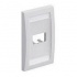 Panduit Placa Minicom CFPE2IWY, 2 Ventanas, Blanco, 1 Pieza  1