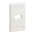 Panduit Placa de Pared Vertical CFPL2IWY, 2 Puertos, Blanco  1