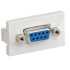 Panduit Conector DB9 Hembra, Blanco  1