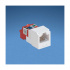 Panduit Jack Modular Mini-Com TX5e Cat5e, Violeta