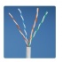 Panduit Bobina de Cable Cat5e UTP, 4-Pares, 24 AWG, 305 Metros, Blanco  1