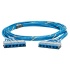 Panduit Cable Patch Cat6 UTP 6x RJ-45 Hembra - 6x RJ-45 Hembra, 6.1 Metros, Azul  1