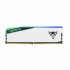 Memoria RAM Patriot Viper Elite 5 RGB DDR5, 5600MHz, 16GB, Non-ECC, CL38, Blanco  1