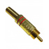 Radox Conector Plug RCA, Oro  1
