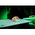 Mouse Gamer Razer Viper V3 Pro White Edition, Inalámbrico, Óptico, 35.000DPI, RF Wireless/USB-C, Blanco - Imagen adicional 4