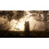 Red Dead Redemption 2, PlayStation 4  4