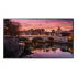 Samsung QB65R-B Pantalla Comercial LED 64.5", 4K Ultra HD, Negro