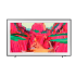 Samsung Smart TV Neo QLED The Frame Pro 85", 4K Ultra HD, Negro