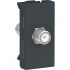 Schneider Electric Placa de Pared S70546894, Coaxial, 1 Puerto, Negro  1