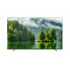 Sharp Smart TV LED 4TC75EL8UR 75", 4K Ultra HD, Negro  1