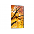 Sharp PN-M432 Pantalla Comercial LCD 42.5", 4K Ultra HD, Negro - Imagen adicional 3